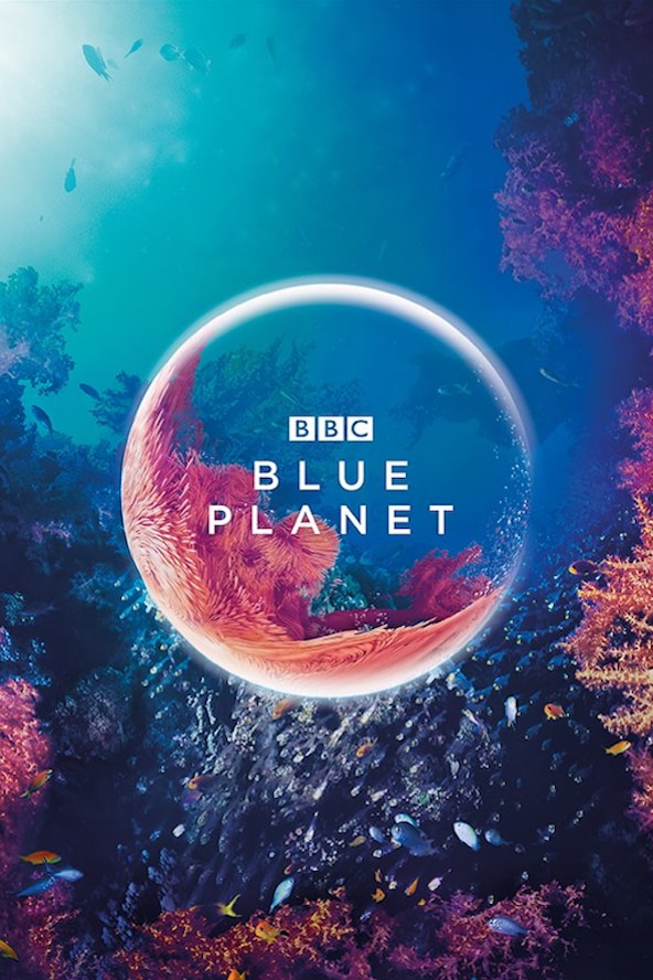 Blue Planet | BBC Earth