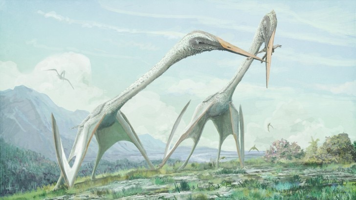 quetzalcoatlus vs t rex