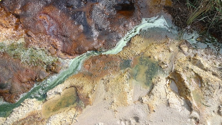 an acid stream in St Oswald's Bay