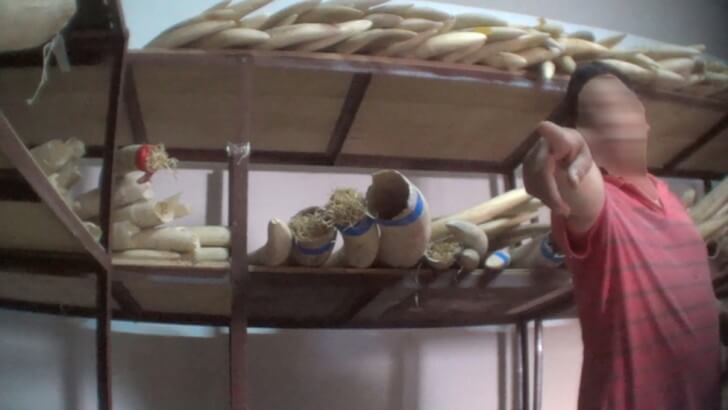 An undercover photograph of an alleged ivory trader in Beijing