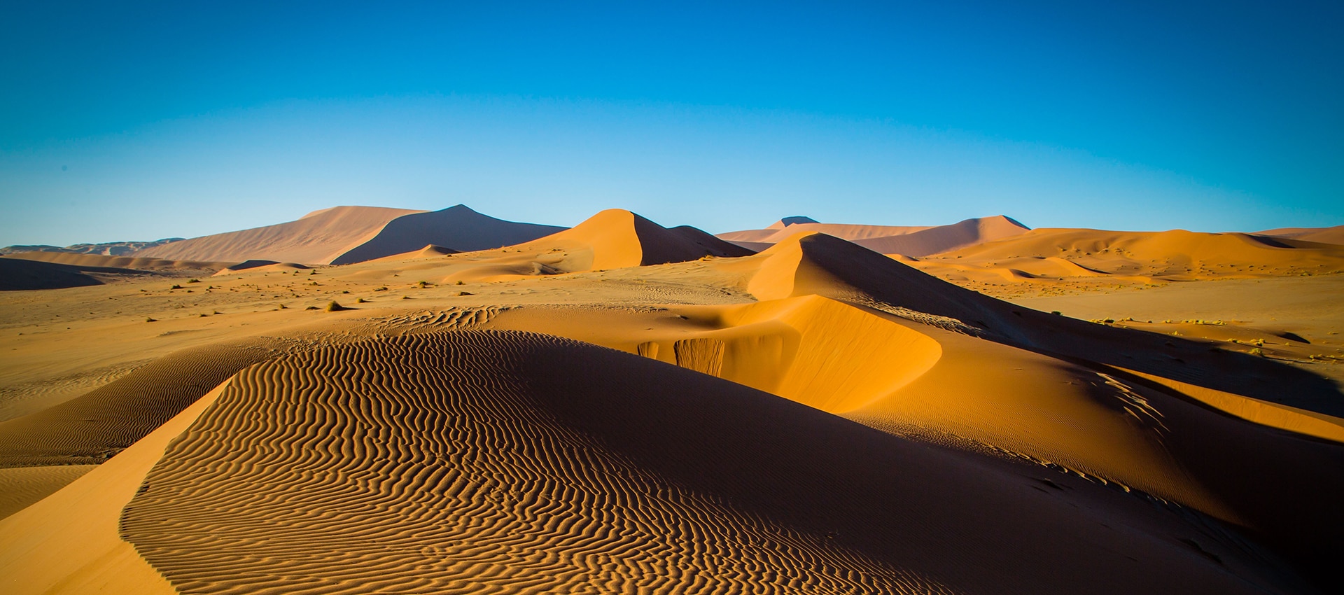 how-we-filmed-in-the-desert-bbc-earth