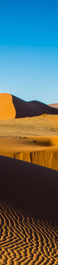 How We Filmed In The Desert BBC Earth