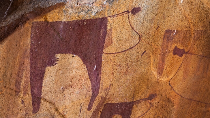 Animals displayed in cave paintings 