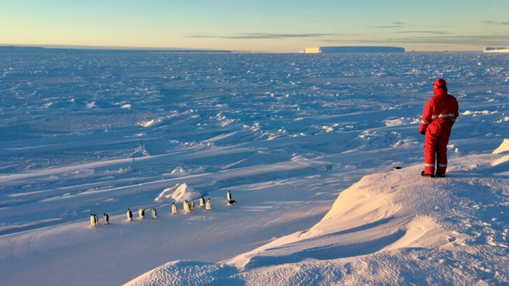 Lindsay McCrae films Emperor Penguins in the Antarctic