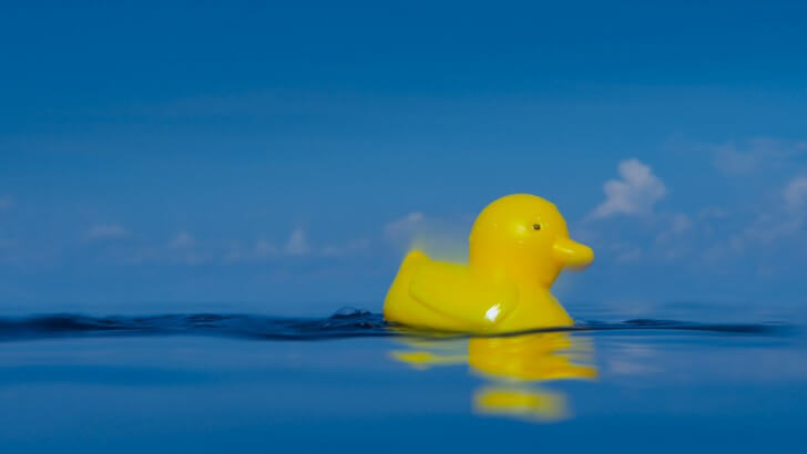 The World Is in Crisis; A Giant Rubber Duck Is in Maine