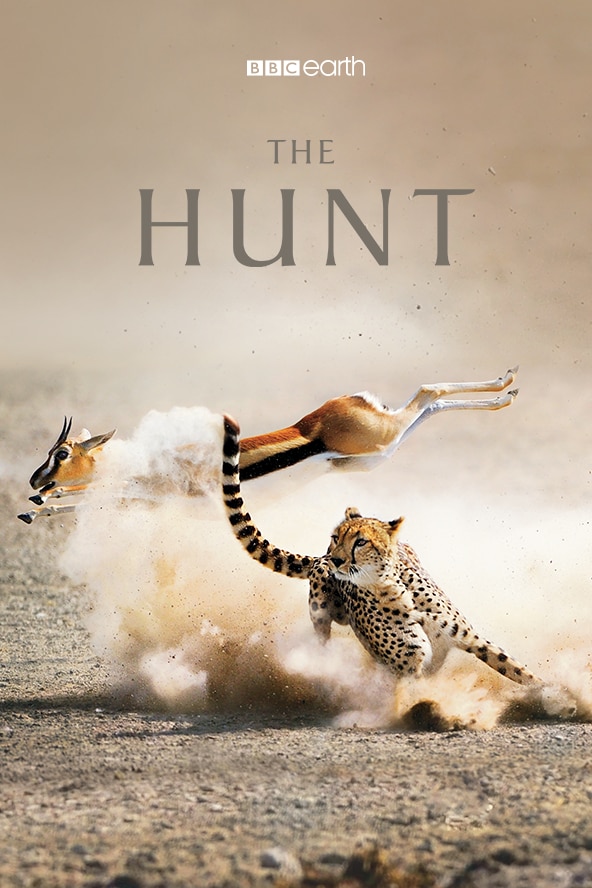 The Hunt | BBC Earth