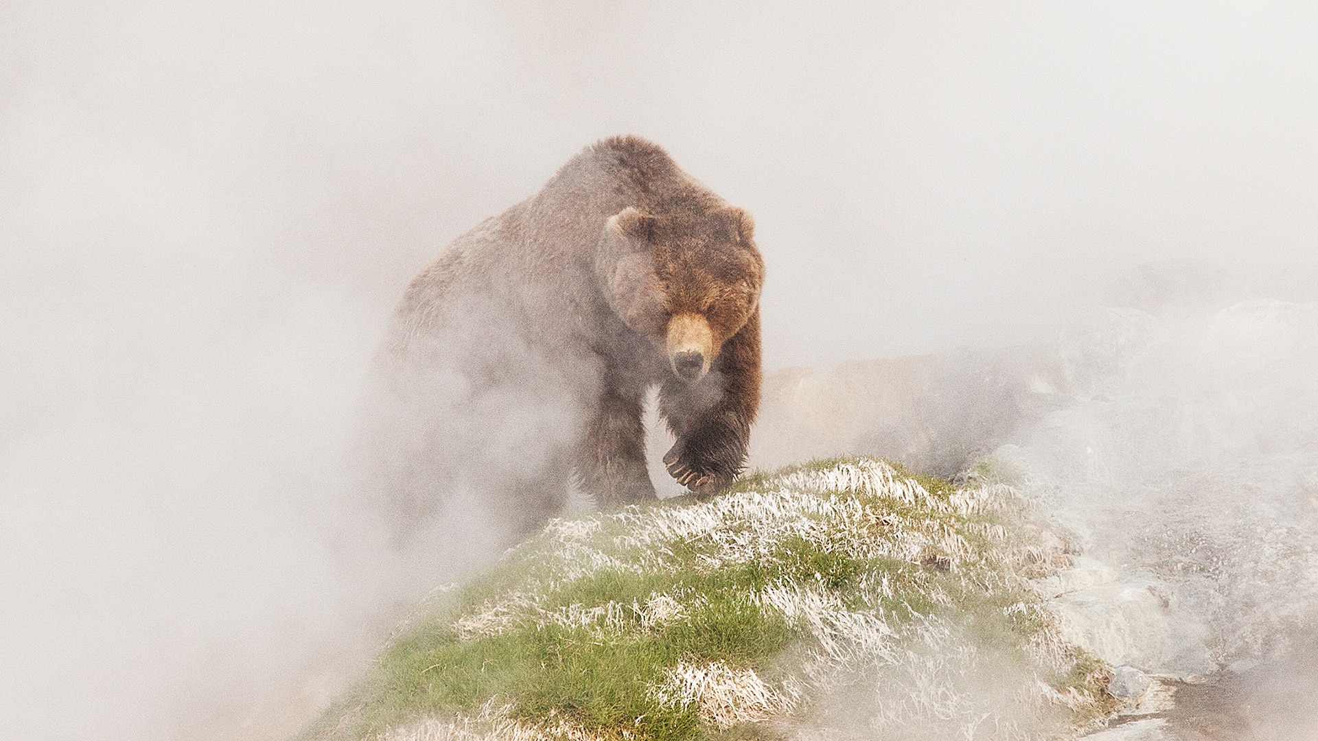 Living on the edge | BBC Earth