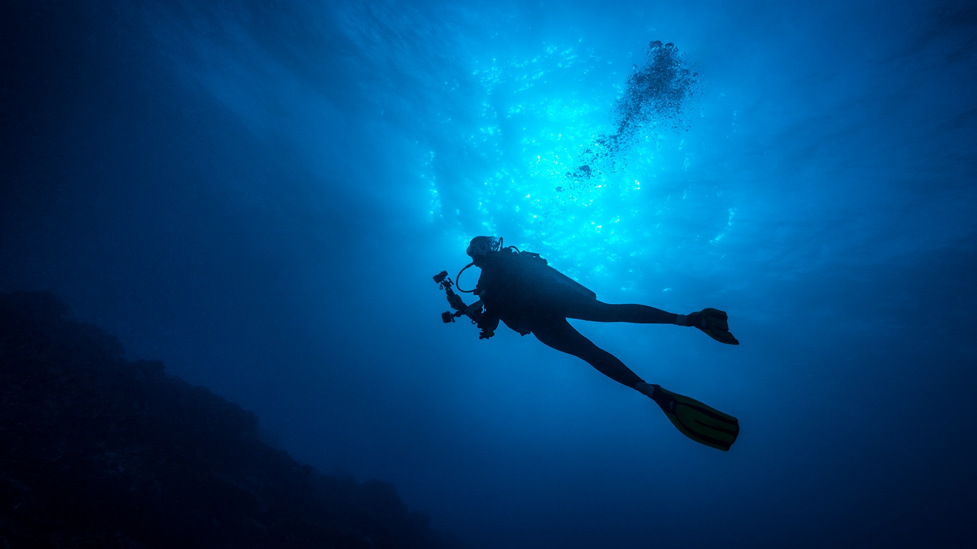 Deep ocean diver with set of marine things and sea animals