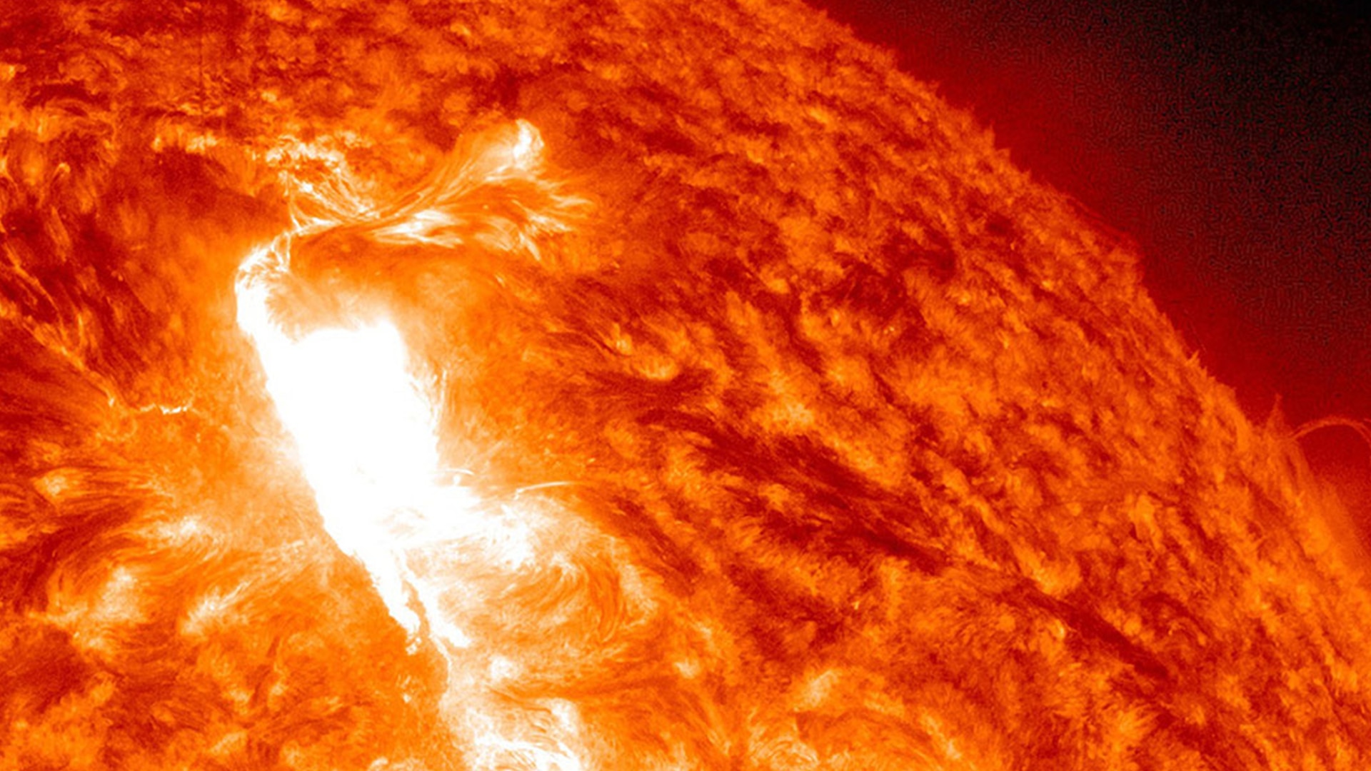 how-much-do-you-know-about-the-sun-bbc-earth