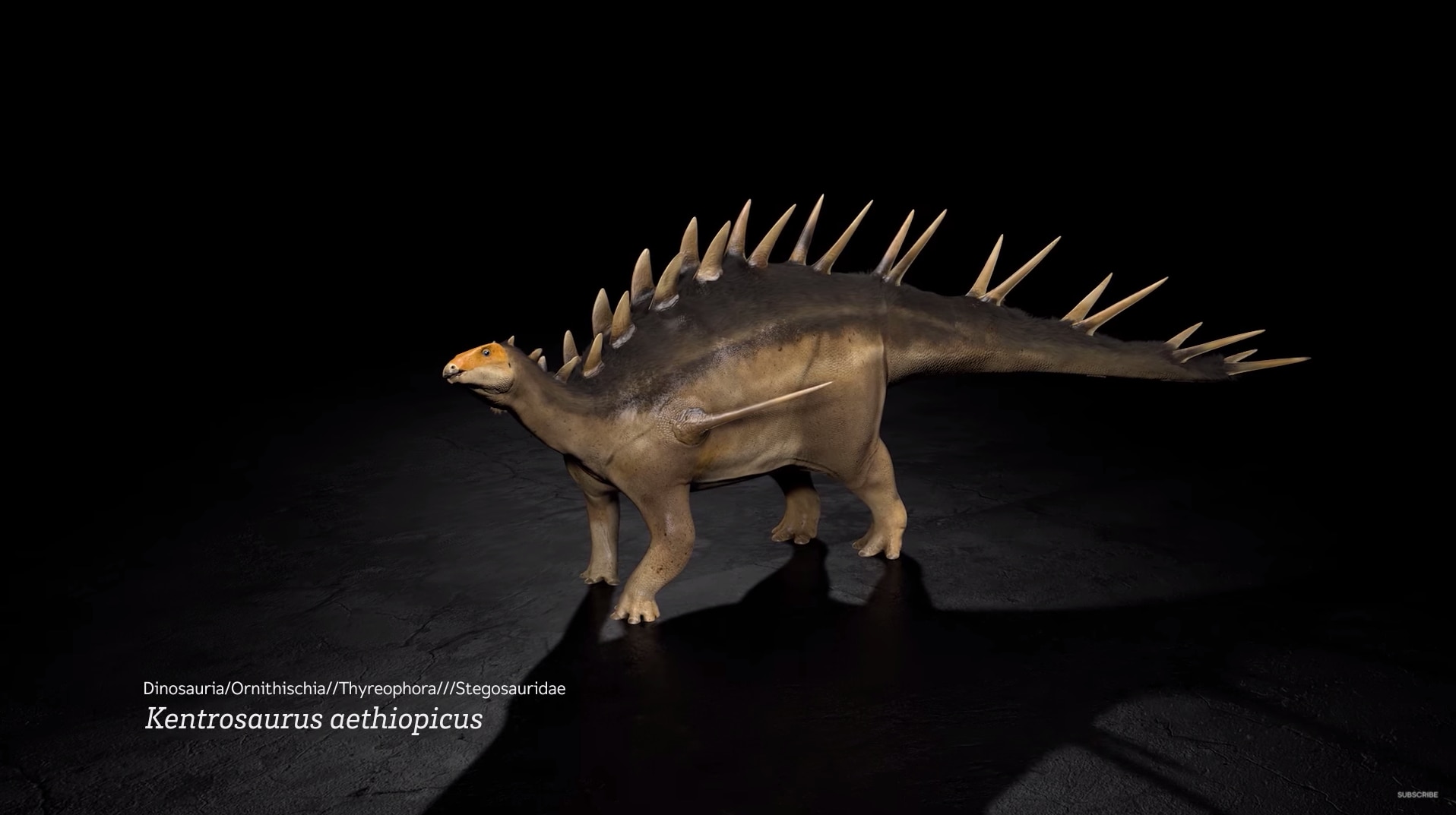 Kentrosaurus aethiopicus dinosaur 