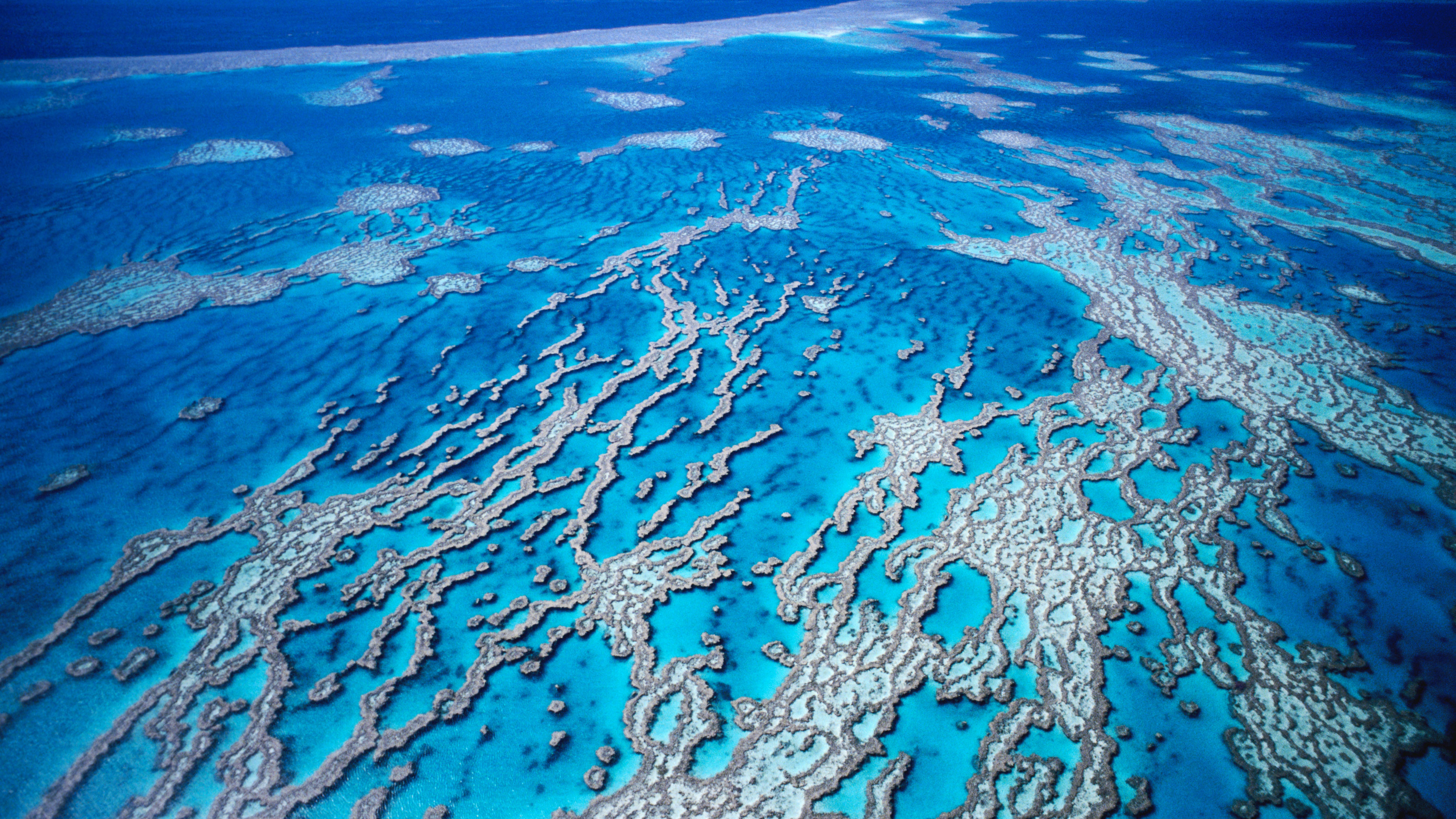Aerial view of Great Barrier Reef near Whitsunday Islands