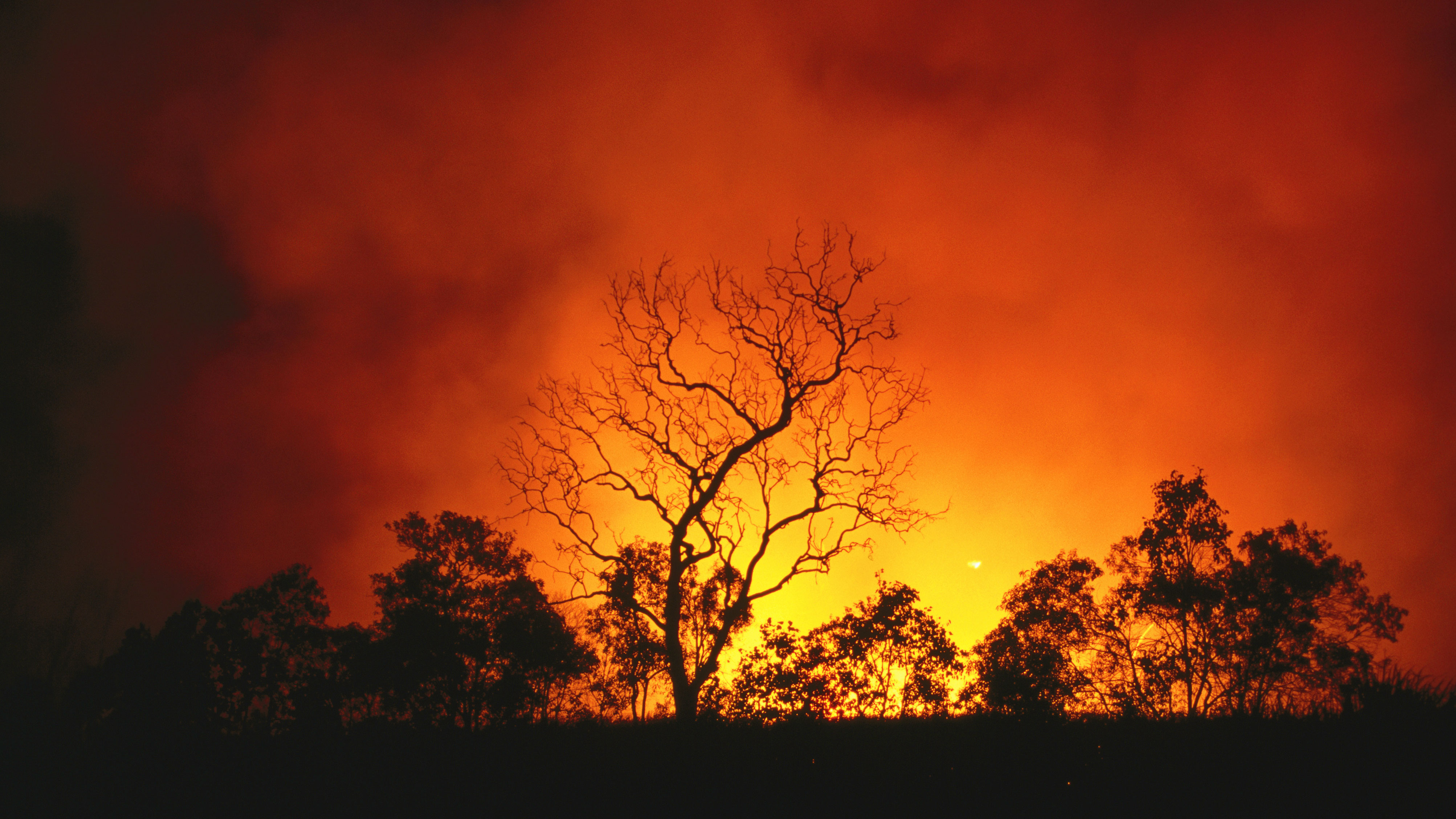 Bushfire in Queensland, Australia