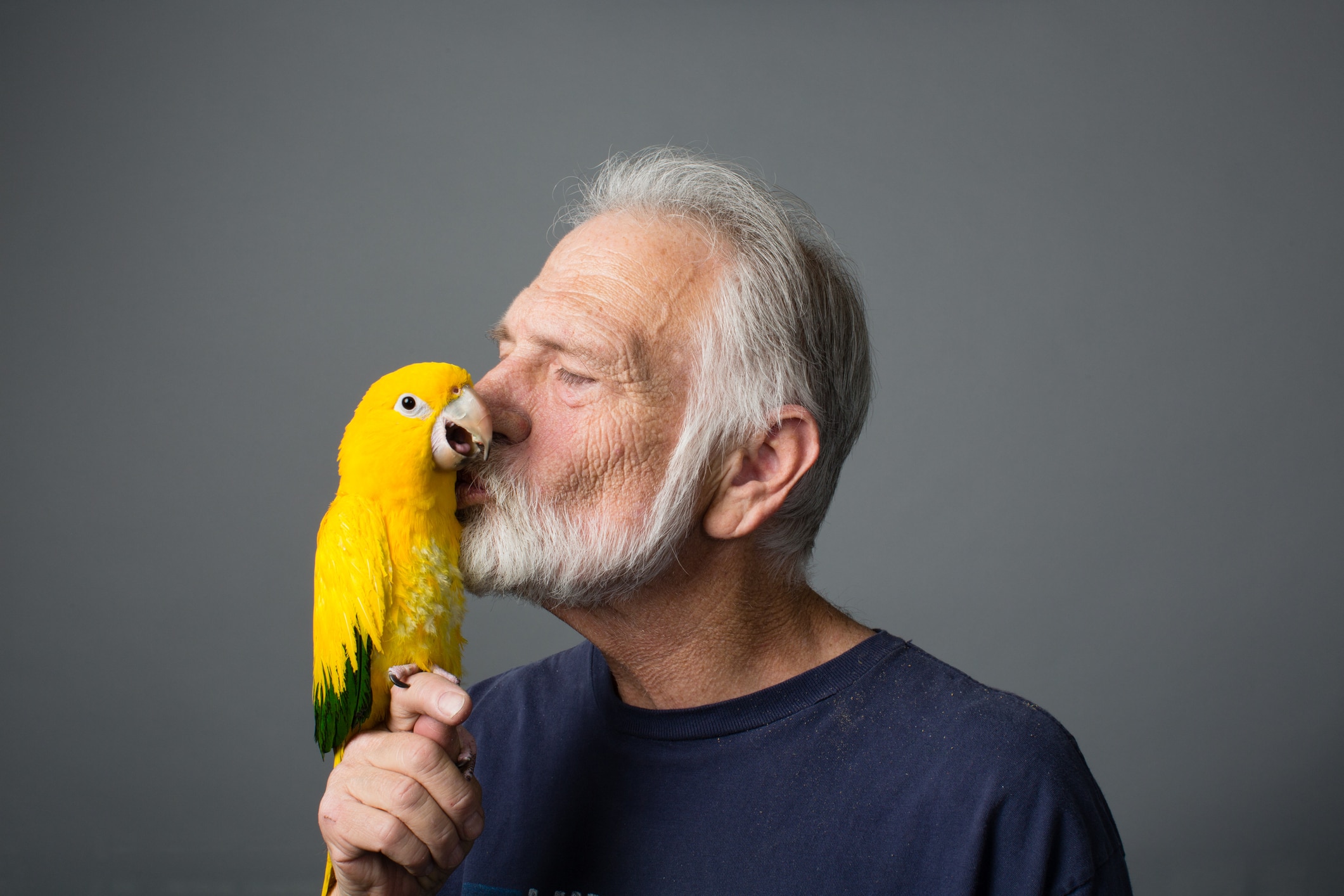 A man kissing a parrot 