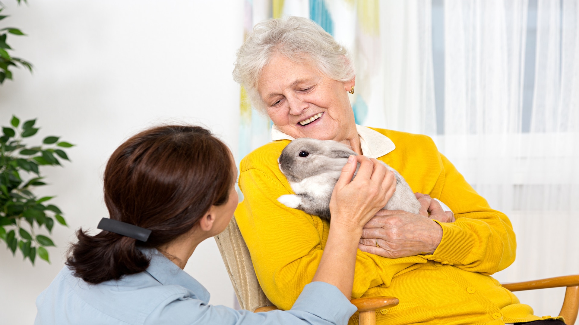 Senior lady hugging bunny 