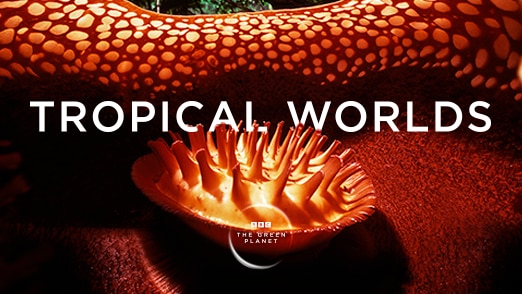 The Green Planet: Tropical Worlds 