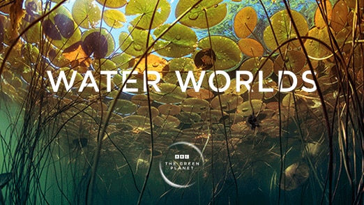The Green Planet: Water Worlds 