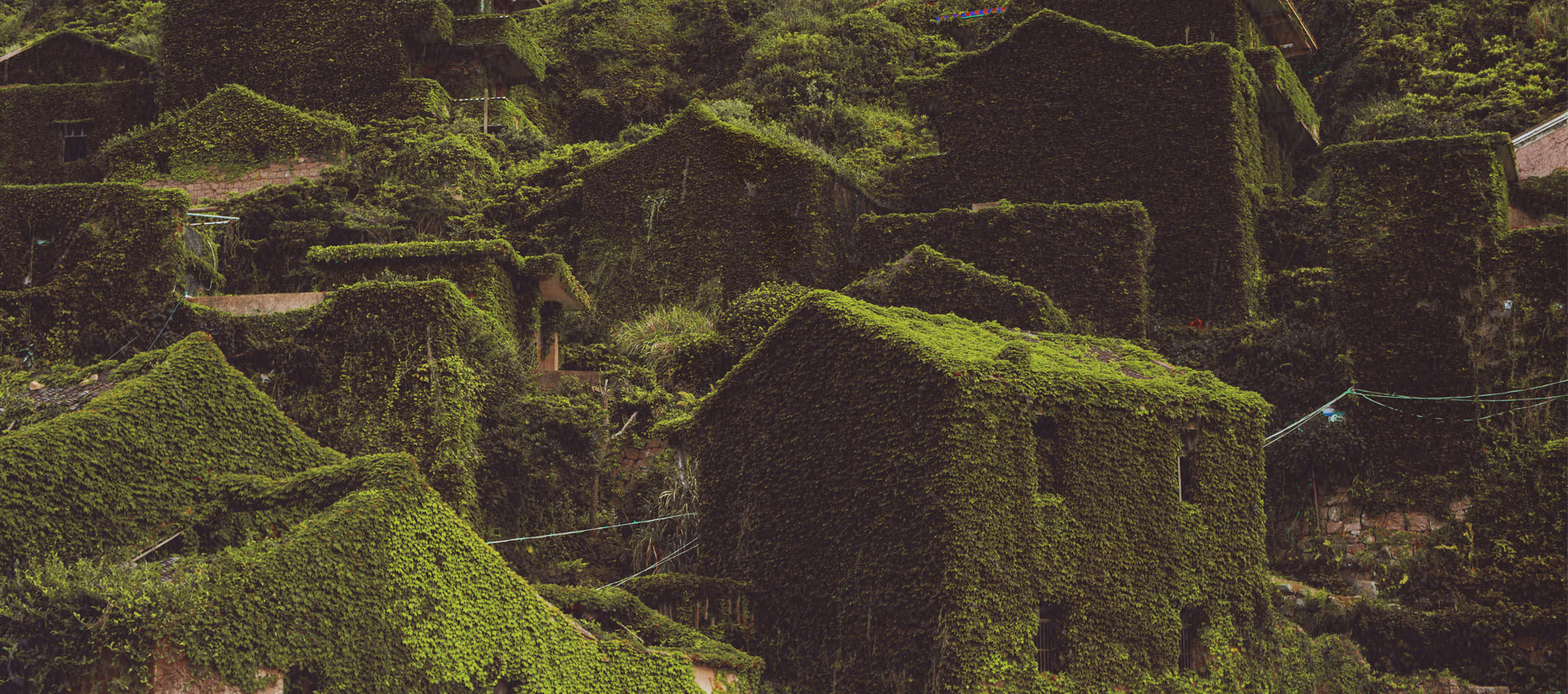 This abandoned building was the view I had from my room. - Picture