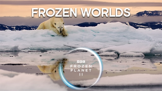 Frozen Worlds