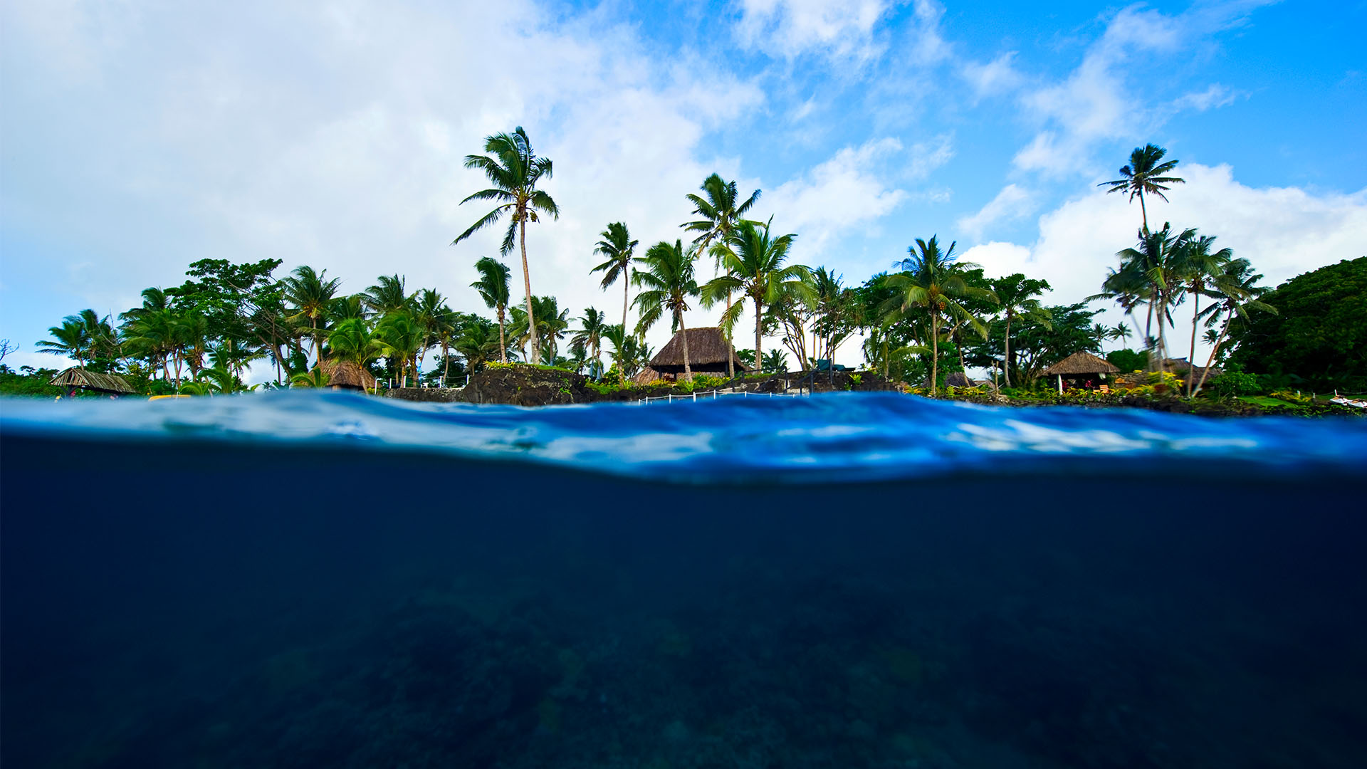 Underwater image from Fiji 