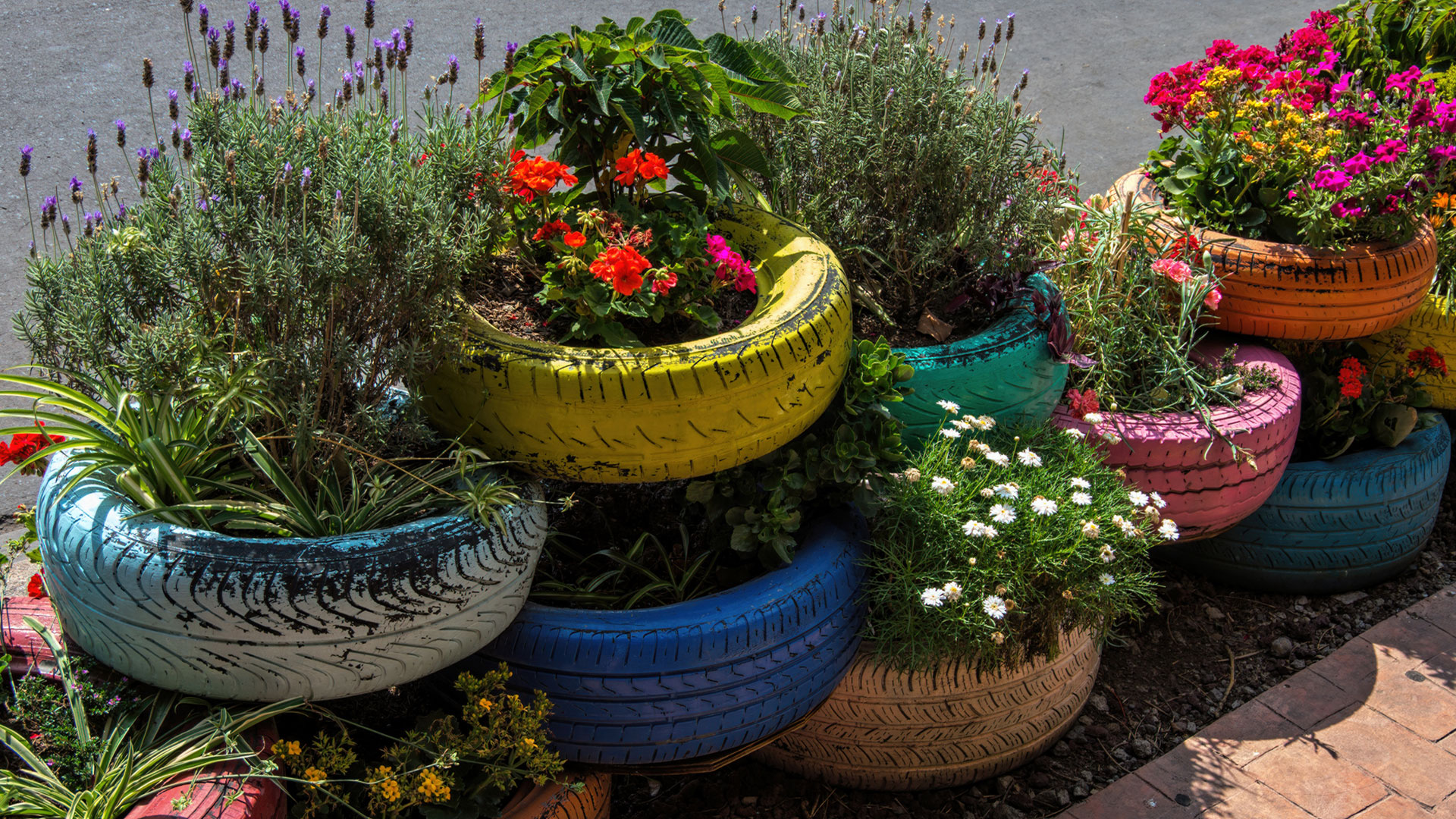 Colourful recycled car tyre turned into planter pots