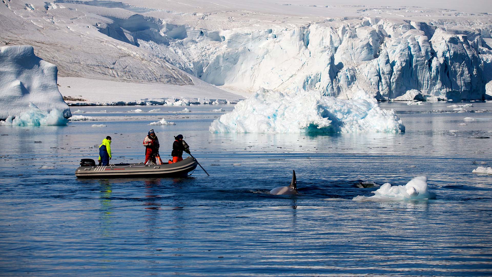 Dive into all five Frozen Planet II worlds