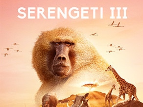 Serengeti III | BBC Earth