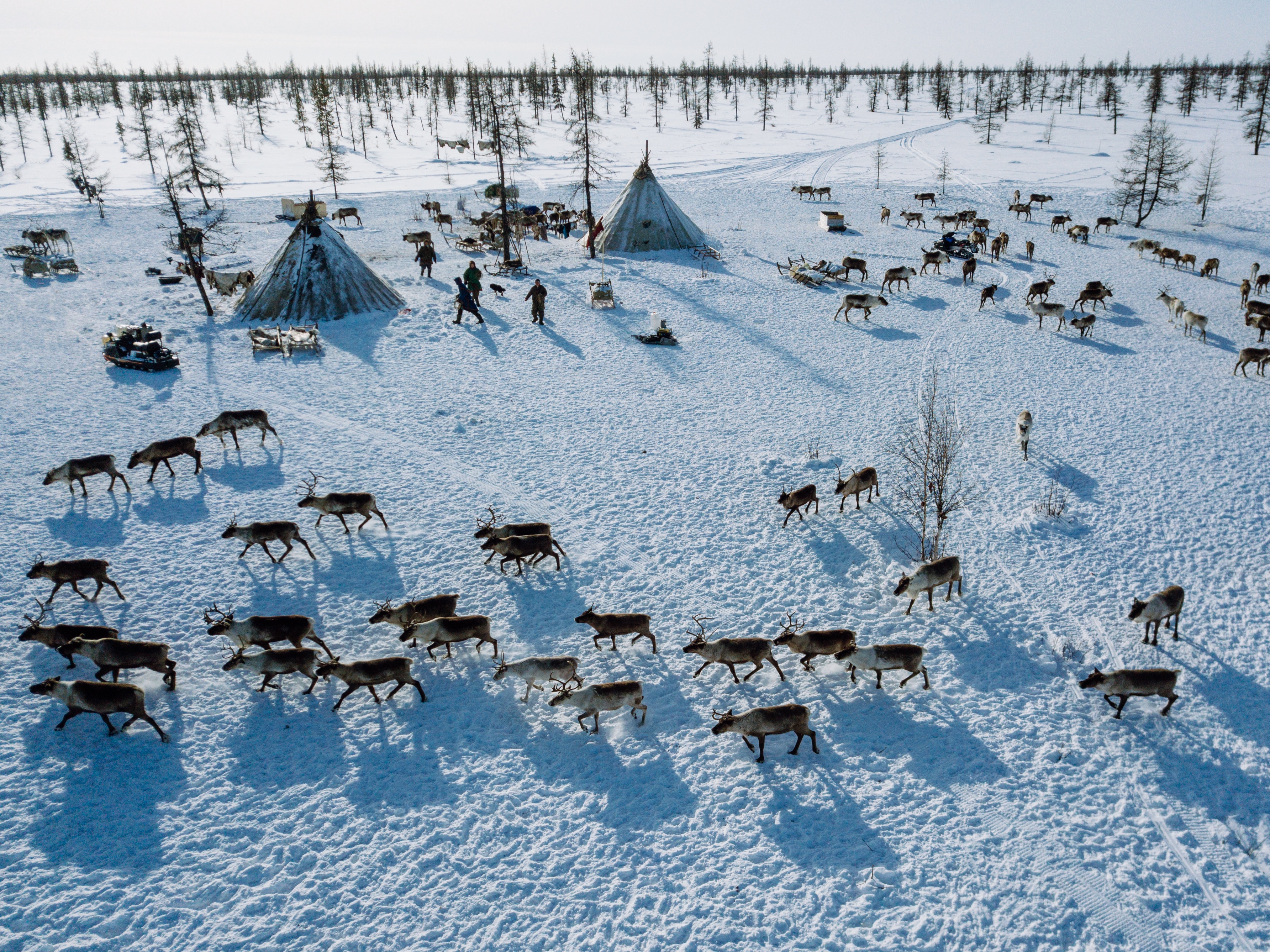 Reindeer herder camp in north Siberia from above