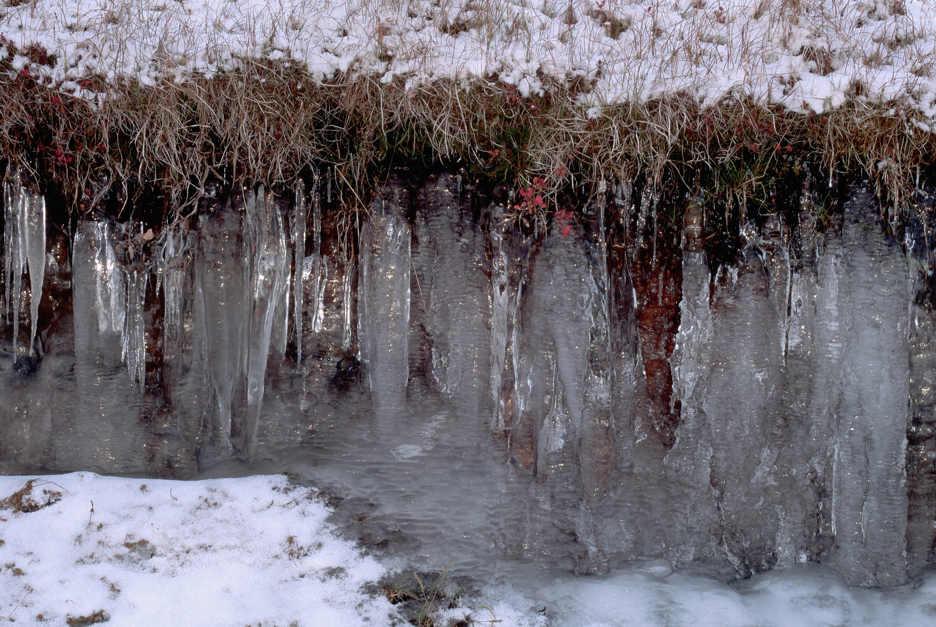 Icicles From Permafrost Melt Water 