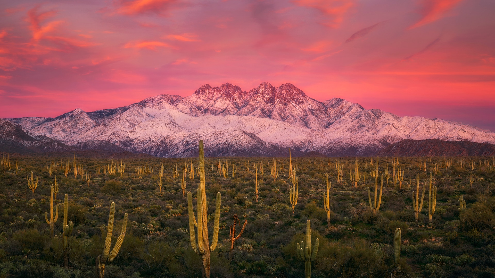 A horizon of frosted peaks give a striking contrast against the foregrounded Sonoran desert, Arizona. 