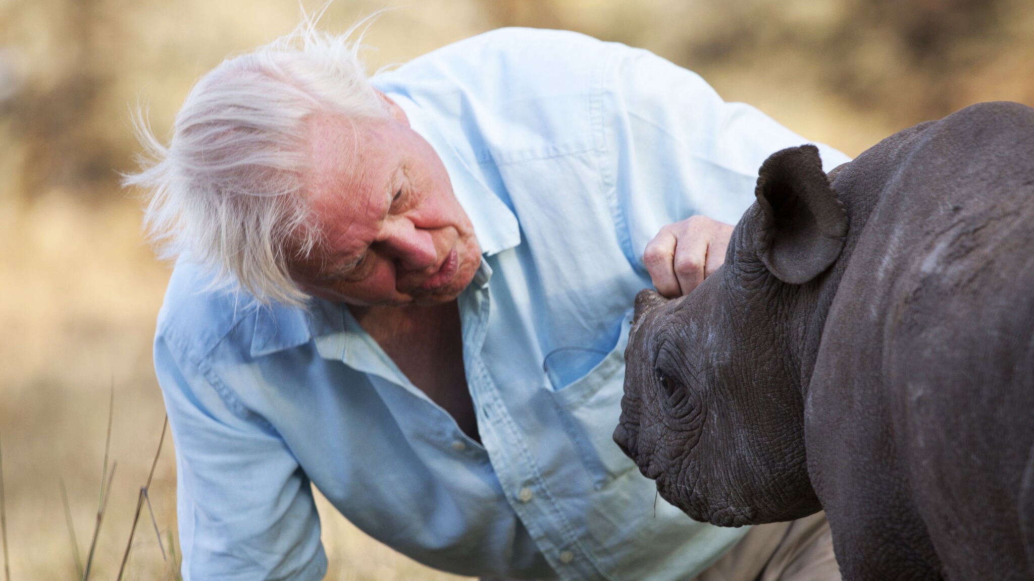 Sir David Attenborough’s 10 Most Memorable Wildlife Encounters  | BBC Earth