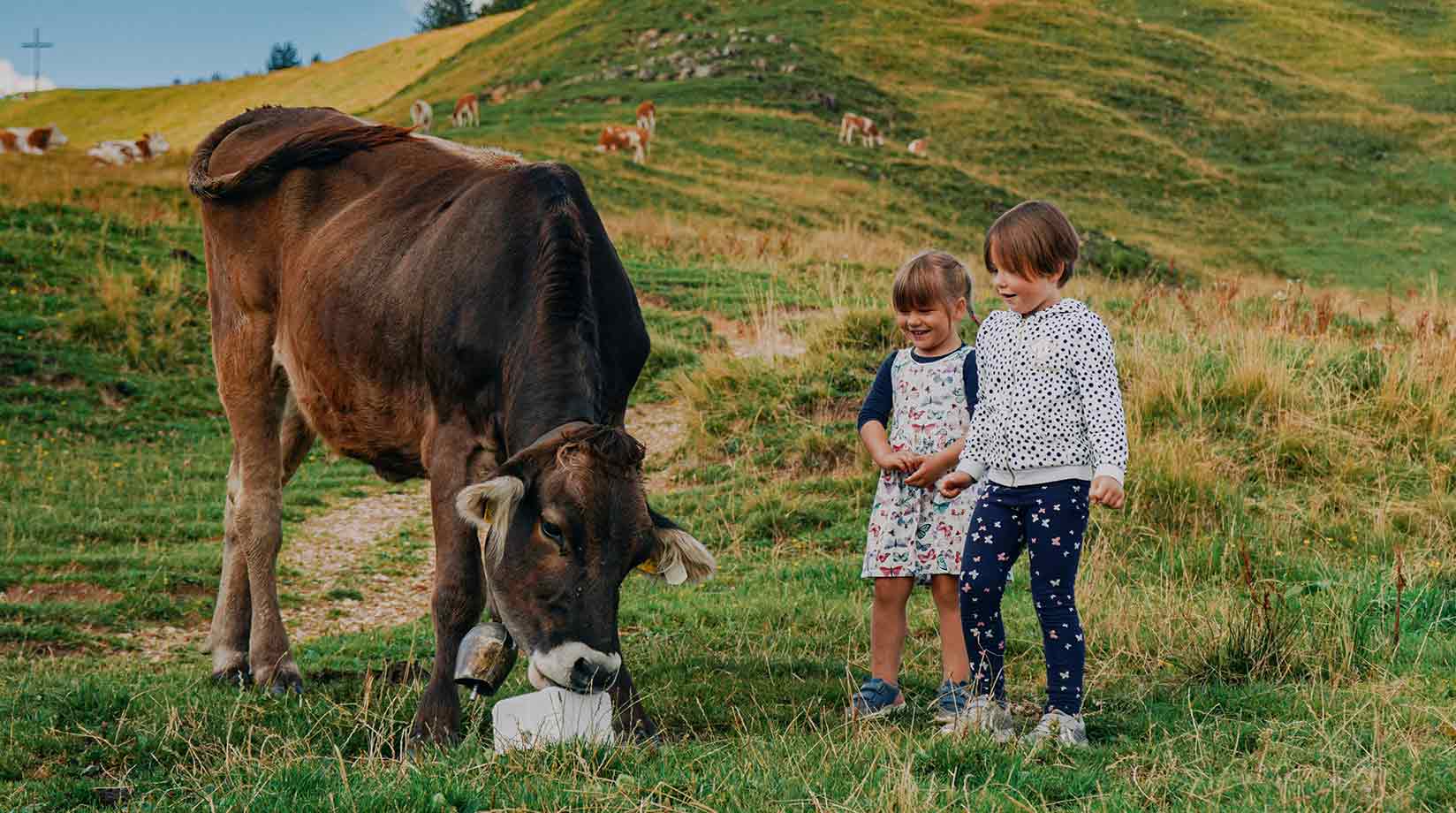 Girl and boy looking at a grazing cow